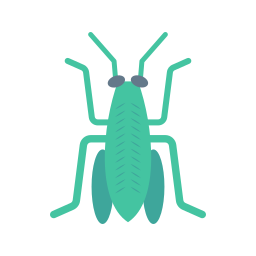 Bug icon