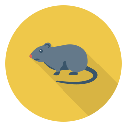 Rata icono