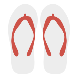 Flip flops icon