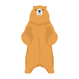 Bear icon