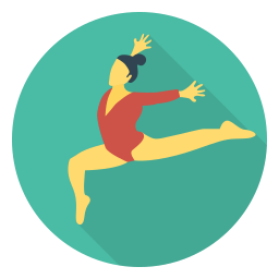 Acrobat icon