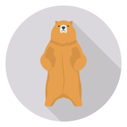 Urso Ícone