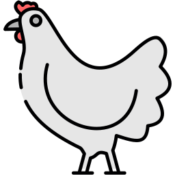 gallina icono