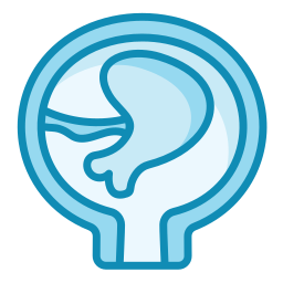 placenta icono