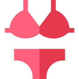 Bikini Ícone