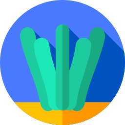 Seaweed icon