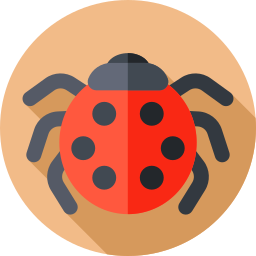 Ladybug Ícone