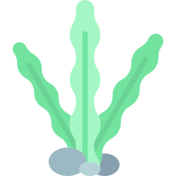 Alga marina icono