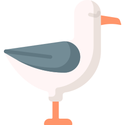 Albatros icono