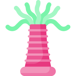 Sea anemone icon
