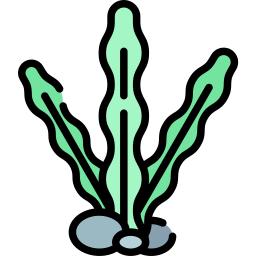 alga marina icona