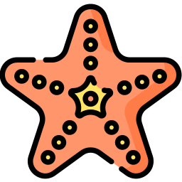 Starfish Ícone