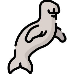 Dugongo icono