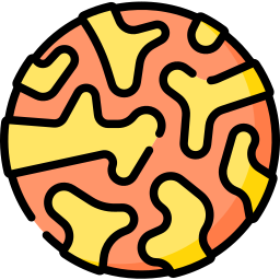 Coral icon