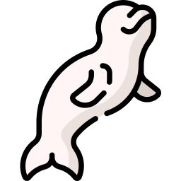 beluga icona