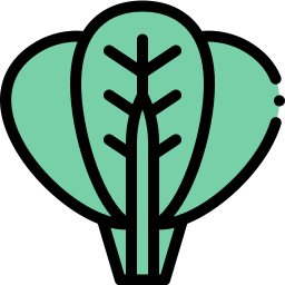 Spinach icon
