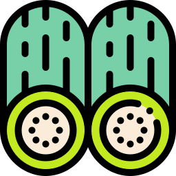 Cucumber icon