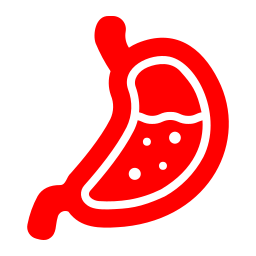 stomaco icona