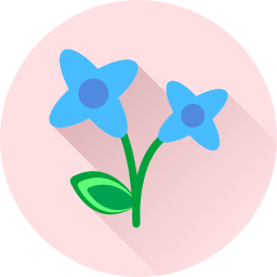 flor icono