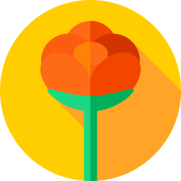 rose icon