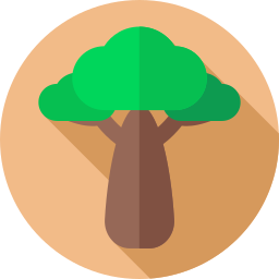 Baobab Ícone