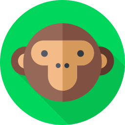 Monkey Ícone