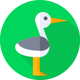 storch icon