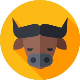 Buffalo Ícone