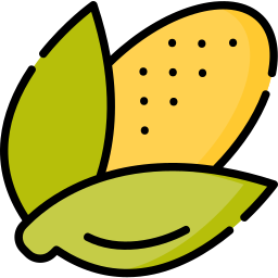 Corn icon