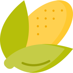 Corn icon