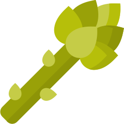 Asparagus icon