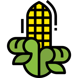 Corn icon