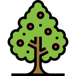 orangenbaum icon