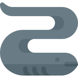 Eel icon