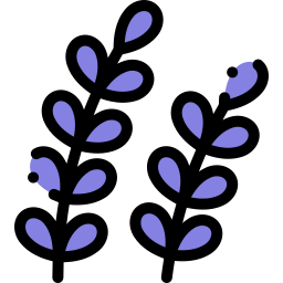 Lavender Ícone