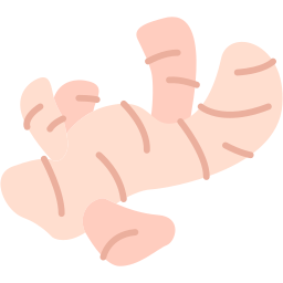 cúrcuma icono
