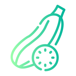 Zucchini icon