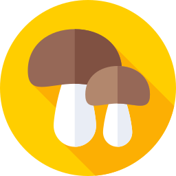 paddestoelen icoon