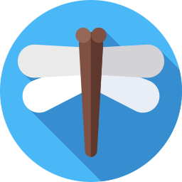 Dragonfly icon