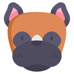 boxer icon