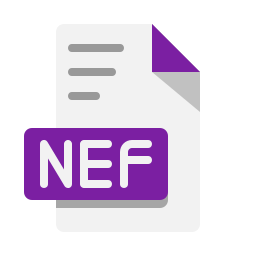 nef icono