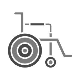 Handicapped icon