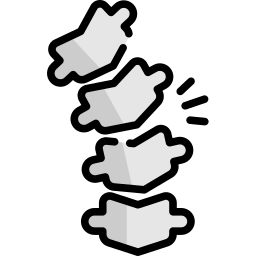 Raquiocampsis icono