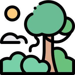 Rainforest icon