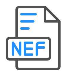 nef icono