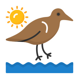lavandera icono