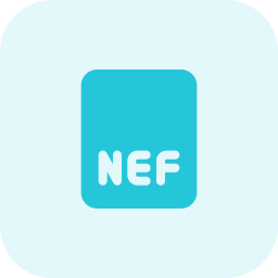 Nef icono