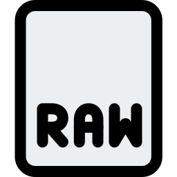 Archivo RAW icono