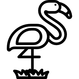 flamingo icon