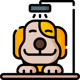 Dog icon